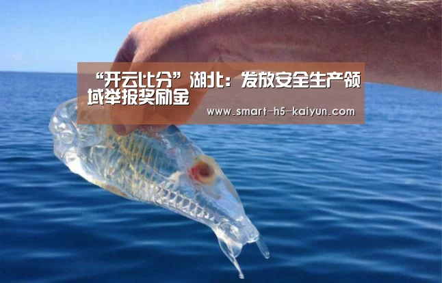 开云体育官方入口