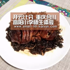 开云比分_重庆合川高阳小学师生体验学习消