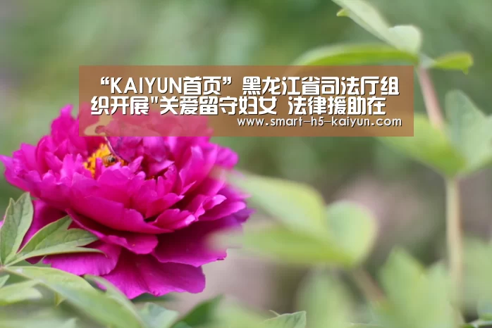 “KAIYUN首页”黑龙江省司法厅组织开展关爱留守妇女 法律援助在行动专项活动(图2) 开云体育赛事