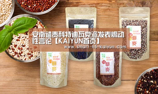 安南谴责科特迪瓦党派发表煽动性言论【KAIYUN首页】(图2) KAIYUN首页