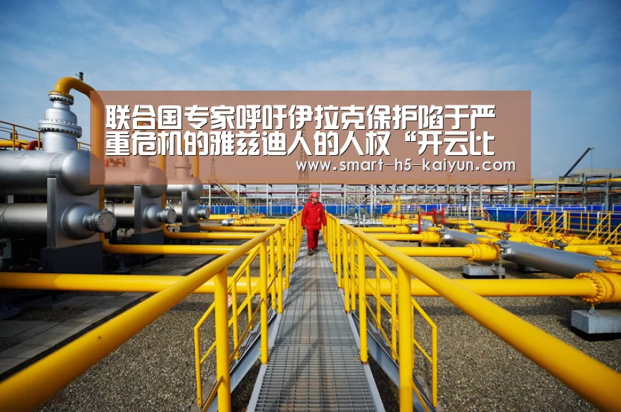 联合国专家呼吁伊拉克保护陷于严重危机的雅兹迪人的人权“开云比分”(图1) KAIYUN首页